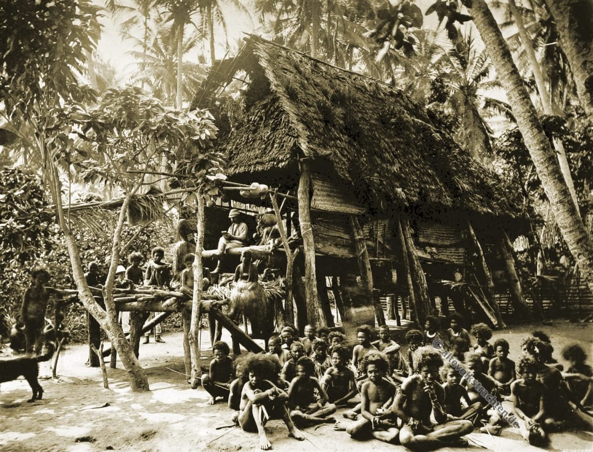 Kamali, Native house, Papua, New Guinea, J. W. Lindt