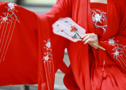 Kimono, Kleid, Mode, Japan, Traditionell,